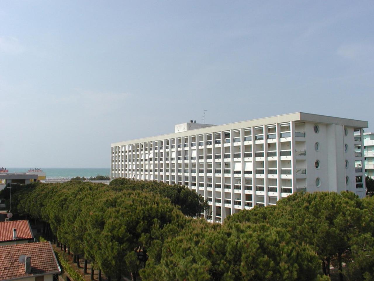 Auriga * Bibione